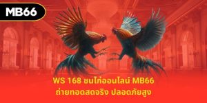 ws 168