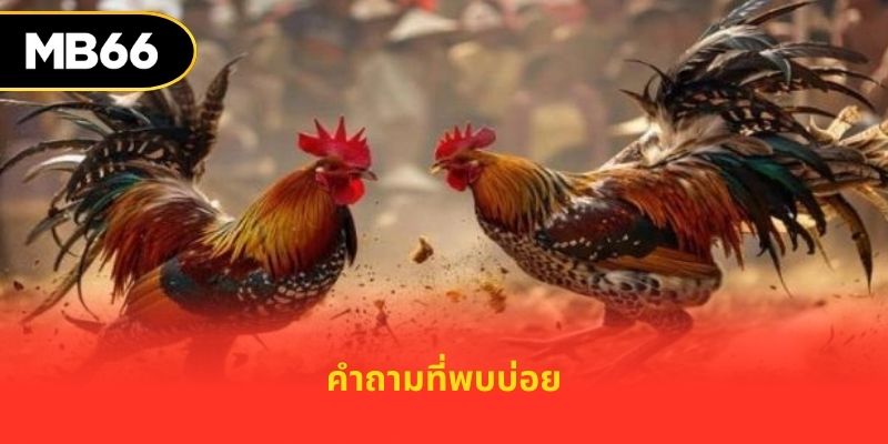 คำถามที่พบบ่อย