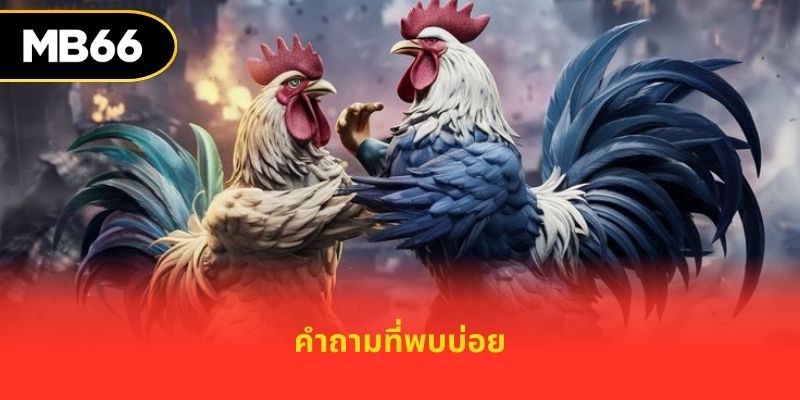 คำถามที่พบบ่อย