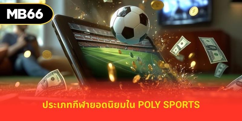 ประเภทกีฬายอดนิยมใน poly sports
