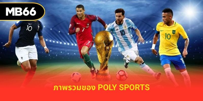 ภาพรวมของ poly sports