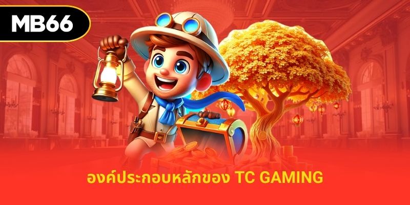 องค์ประกอบหลักของ tc gaming