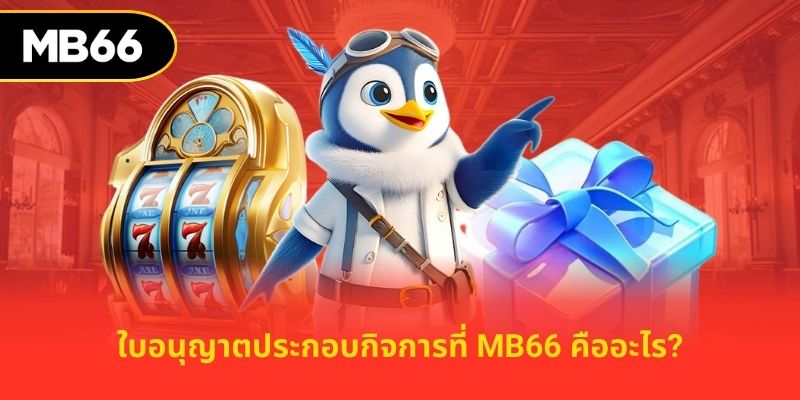 ใบอนุญาตประกอบกิจการที่ MB66 คืออะไร?